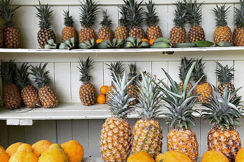 パイナップル(パイン)